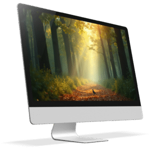 Forest of Serenity_ A Peaceful Nature Ambience