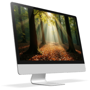 Whispers of Grace_ Finding Stillness