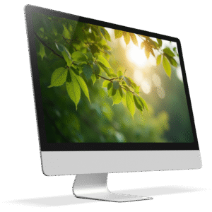 A Moment of Calm – A Serene Visual Pause